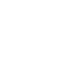 From Core to Sun